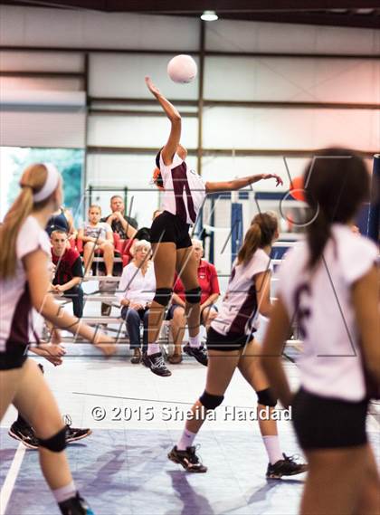 Thumbnail 1 in Wiregrass @ Carrollwood Day photogallery.