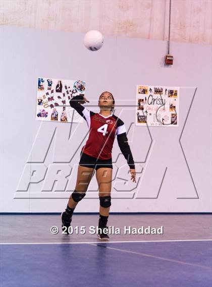 Thumbnail 3 in Wiregrass @ Carrollwood Day photogallery.