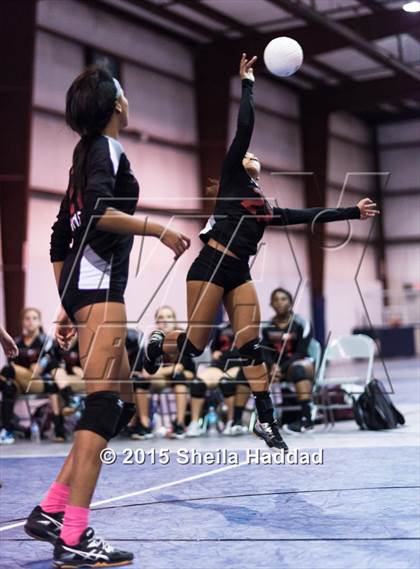 Thumbnail 1 in Wiregrass @ Carrollwood Day photogallery.