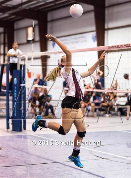 Thumbnail 2 in Wiregrass @ Carrollwood Day photogallery.