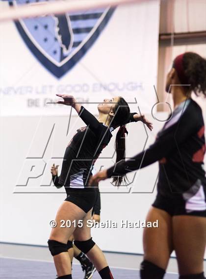 Thumbnail 1 in Wiregrass @ Carrollwood Day photogallery.