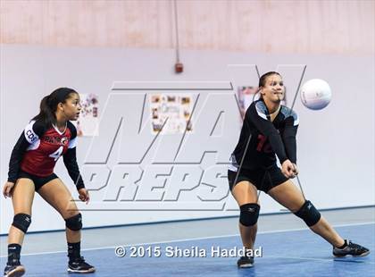 Thumbnail 2 in Wiregrass @ Carrollwood Day photogallery.
