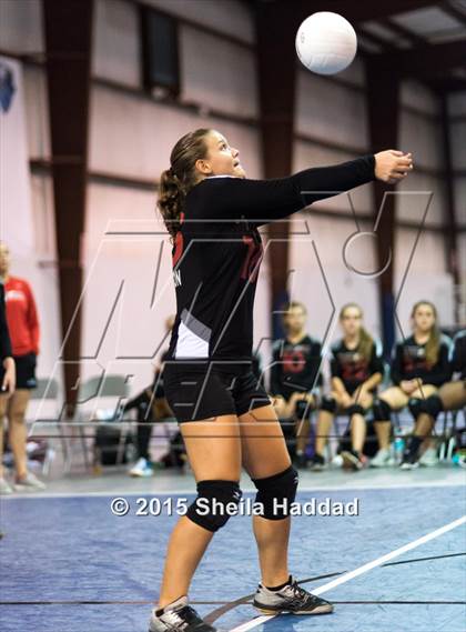 Thumbnail 1 in Wiregrass @ Carrollwood Day photogallery.