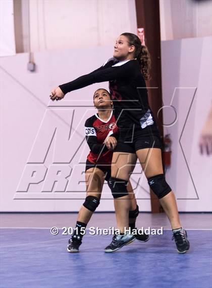 Thumbnail 2 in Wiregrass @ Carrollwood Day photogallery.