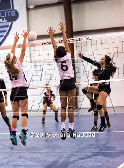 Thumbnail 2 in Wiregrass @ Carrollwood Day photogallery.
