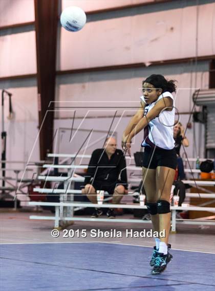 Thumbnail 1 in Wiregrass @ Carrollwood Day photogallery.