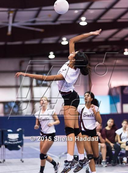 Thumbnail 1 in Wiregrass @ Carrollwood Day photogallery.