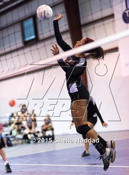 Thumbnail 3 in Wiregrass @ Carrollwood Day photogallery.