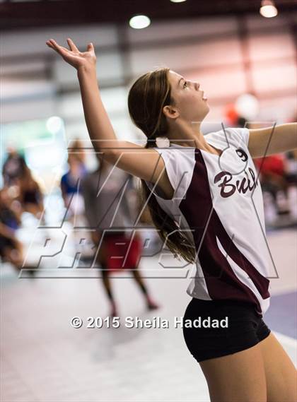 Thumbnail 1 in Wiregrass @ Carrollwood Day photogallery.