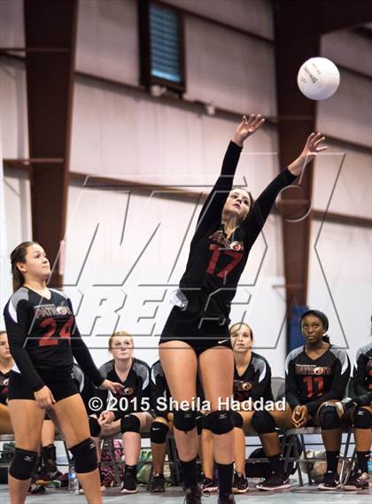 Thumbnail 1 in Wiregrass @ Carrollwood Day photogallery.