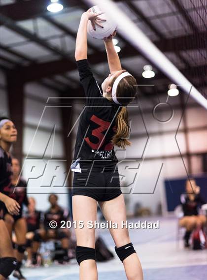 Thumbnail 2 in Wiregrass @ Carrollwood Day photogallery.