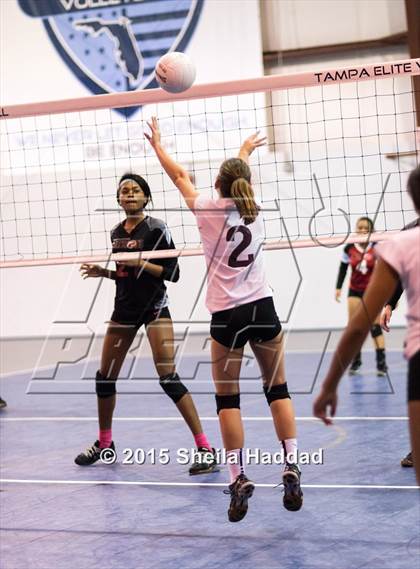 Thumbnail 1 in Wiregrass @ Carrollwood Day photogallery.