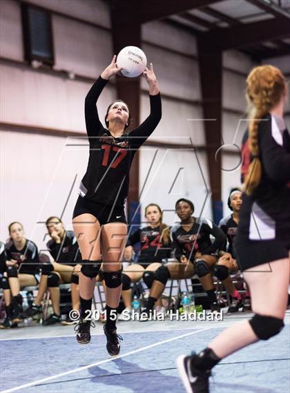 Thumbnail 3 in Wiregrass @ Carrollwood Day photogallery.