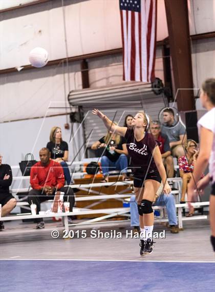 Thumbnail 3 in Wiregrass @ Carrollwood Day photogallery.