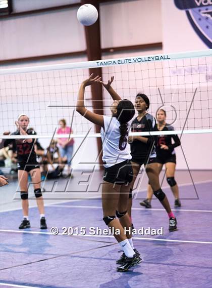 Thumbnail 2 in Wiregrass @ Carrollwood Day photogallery.
