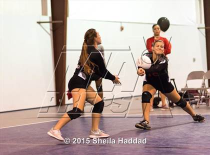 Thumbnail 1 in Wiregrass @ Carrollwood Day photogallery.