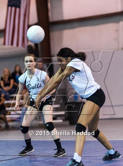 Thumbnail 2 in Wiregrass @ Carrollwood Day photogallery.