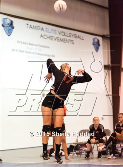 Thumbnail 1 in Wiregrass @ Carrollwood Day photogallery.