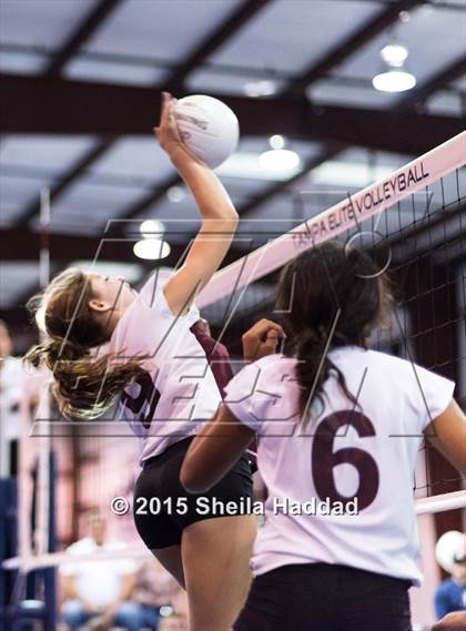 Thumbnail 1 in Wiregrass @ Carrollwood Day photogallery.
