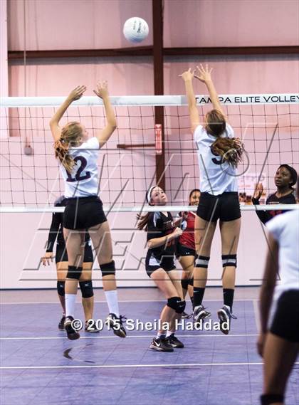 Thumbnail 3 in Wiregrass @ Carrollwood Day photogallery.