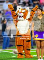 Photo from the gallery "Jefferson @ Leonard"