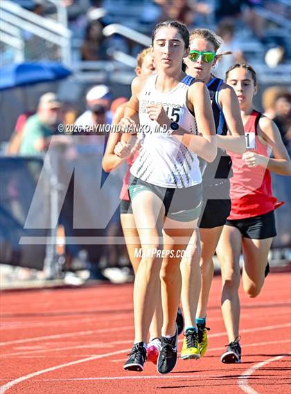 Thumbnail 2 in Pirate Booty Invitational (800 Meter) photogallery.