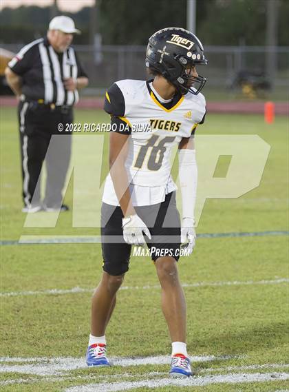 Thumbnail 3 in Royal vs Sealy photogallery.