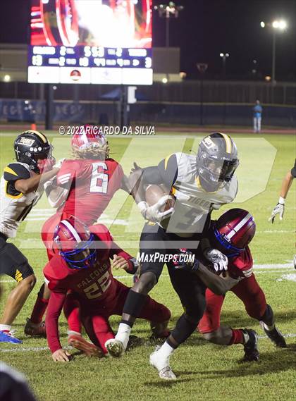 Thumbnail 3 in Royal vs Sealy photogallery.