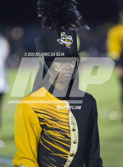 Thumbnail 3 in Royal vs Sealy photogallery.