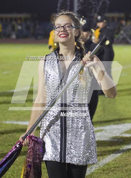 Thumbnail 1 in Royal vs Sealy photogallery.
