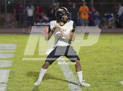 Thumbnail 1 in Royal vs Sealy photogallery.
