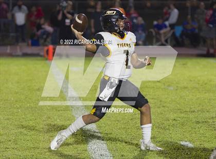 Thumbnail 3 in Royal vs Sealy photogallery.