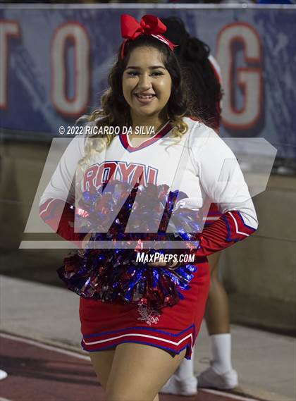 Thumbnail 3 in Royal vs Sealy photogallery.