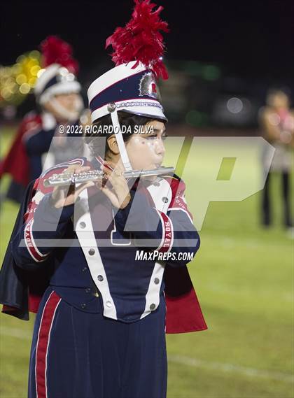 Thumbnail 1 in Royal vs Sealy photogallery.