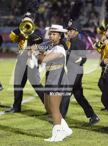Thumbnail 3 in Royal vs Sealy photogallery.