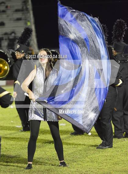 Thumbnail 1 in Royal vs Sealy photogallery.