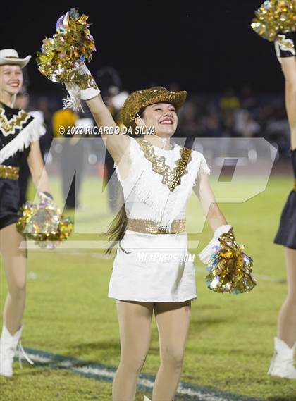 Thumbnail 1 in Royal vs Sealy photogallery.