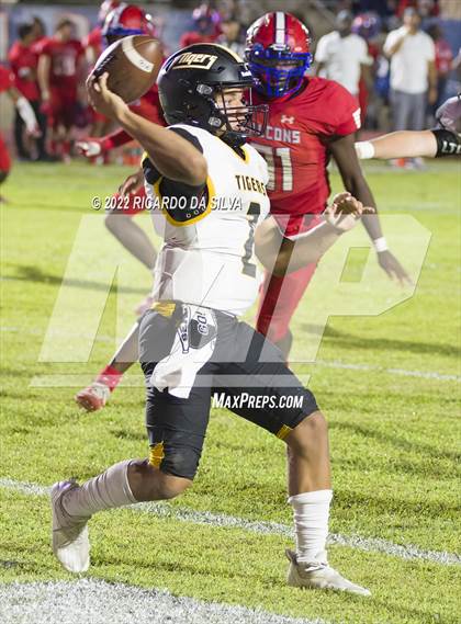 Thumbnail 3 in Royal vs Sealy photogallery.