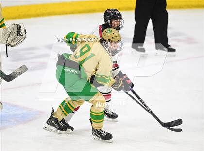 Thumbnail 2 in Notre Dame vs. New Canaan (CIAC DI Final) photogallery.