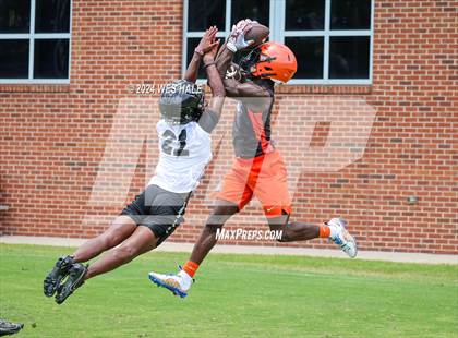 Thumbnail 3 in Whitehaven vs Fairley (U of Memphis 7v7) photogallery.