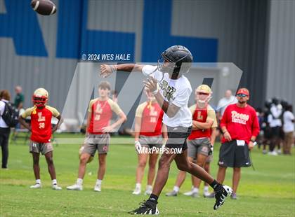 Thumbnail 3 in Whitehaven vs Fairley (U of Memphis 7v7) photogallery.