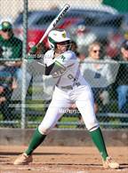 Photo from the gallery "San Ramon Valley @ Casa Grande (CIF NCS D1 Quarterfinals)"