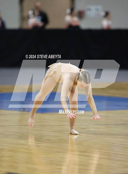 Thumbnail 2 in Chaparral (CHSAA 5A State Spirit Champiosnhips) photogallery.