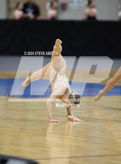 Thumbnail 1 in Chaparral (CHSAA 5A State Spirit Champiosnhips) photogallery.