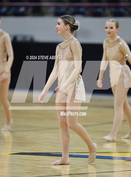 Thumbnail 2 in Chaparral (CHSAA 5A State Spirit Champiosnhips) photogallery.