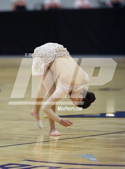 Thumbnail 1 in Chaparral (CHSAA 5A State Spirit Champiosnhips) photogallery.