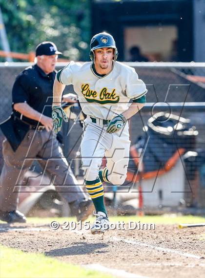 Thumbnail 2 in Live Oak @ Los Gatos photogallery.