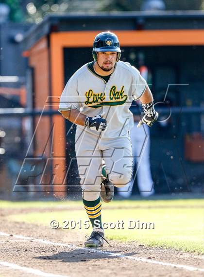 Thumbnail 1 in Live Oak @ Los Gatos photogallery.
