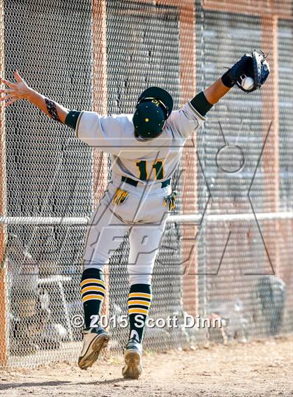 Thumbnail 1 in Live Oak @ Los Gatos photogallery.