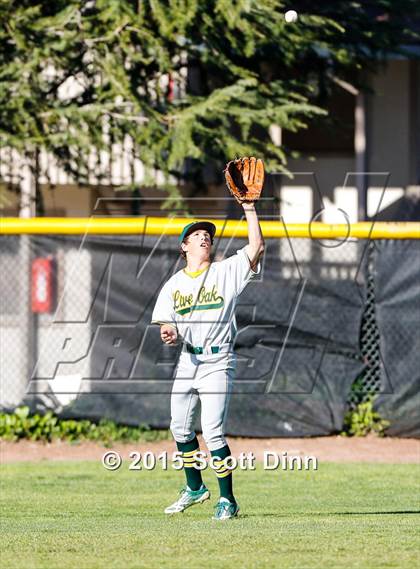 Thumbnail 2 in Live Oak @ Los Gatos photogallery.
